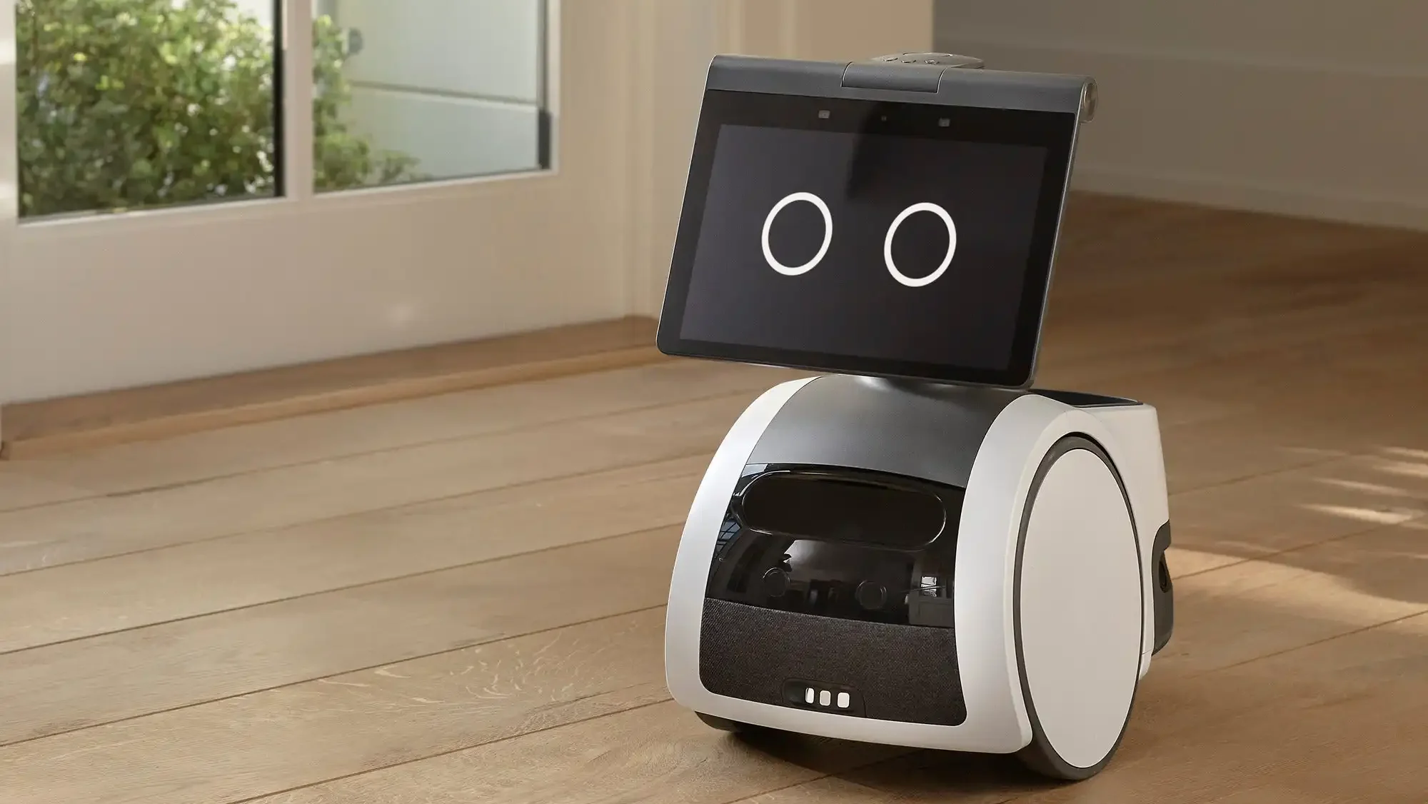 Home assistant Robot